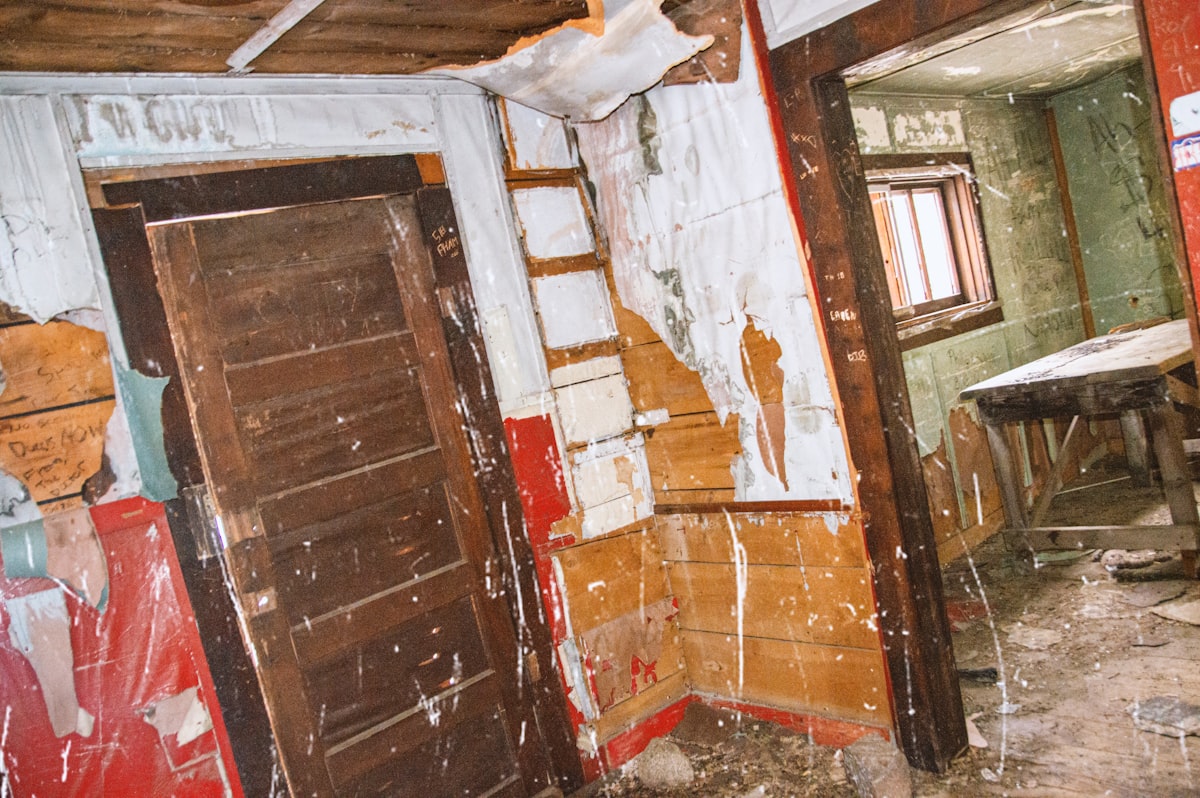 Mold Remediation service in South Bend, IN
