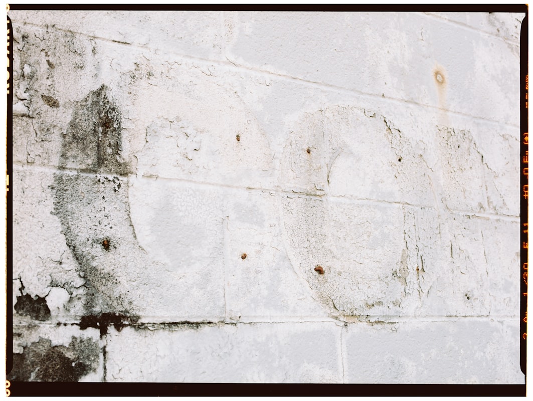 Basement Water Removal service in South Bend, IN