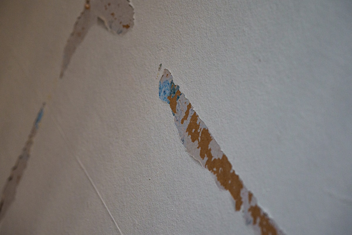 Water Extraction service in South Bend, IN